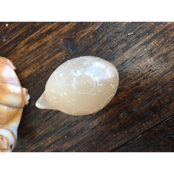 Vintage carved Turtles / sea turtle‎ tortoise / knick knack shelf decor / Mexico - Picture 4 of 8